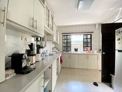Shamrock Park (D10), Detached #623176271
